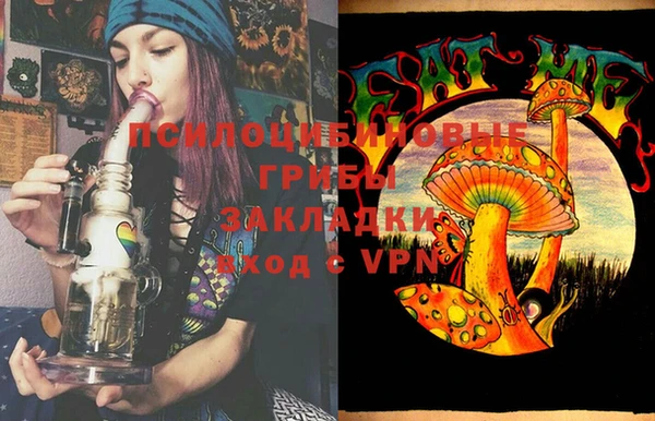 ПСИЛОЦИБИНОВЫЕ ГРИБЫ Балахна