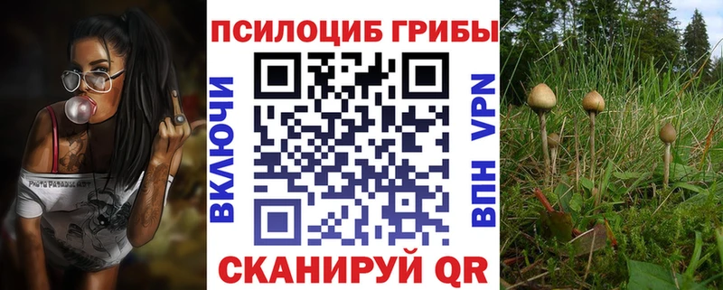 Псилоцибиновые грибы мухоморы  где купить наркотик  Зеленогорск 