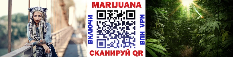 купить закладку  Зеленогорск  Бошки марихуана ГИДРОПОН 